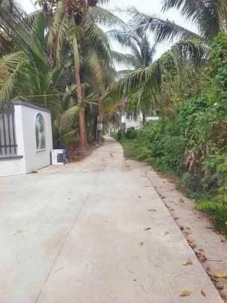 Bán đất Phú Nhuận, Bến Tre, 400m² ngang 9,2m - Ảnh thu nhỏ 3