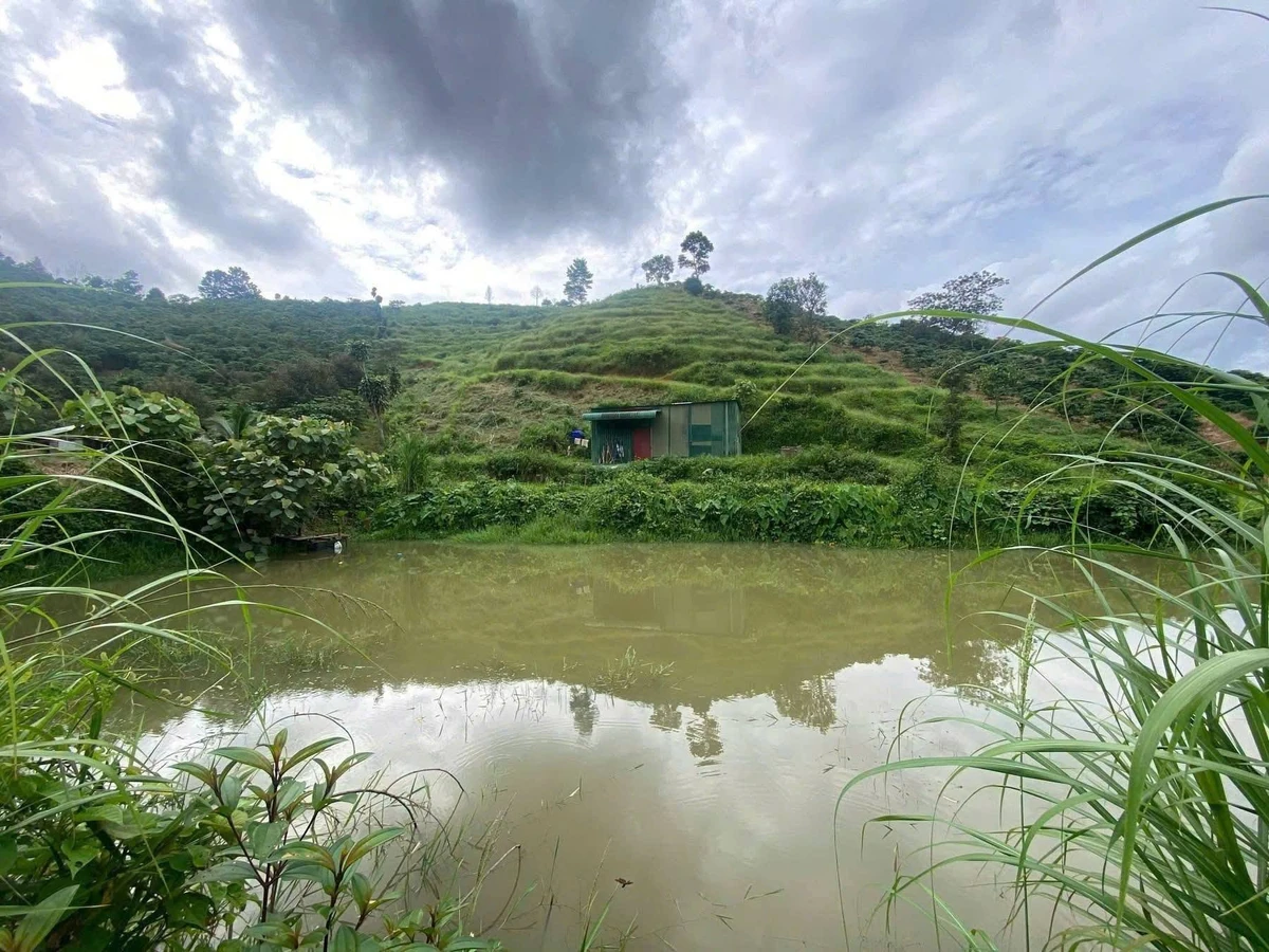 Bán đất 8 hectare Bảo Lâm Lâm Đồng 900 triệu - Ảnh thu nhỏ 5