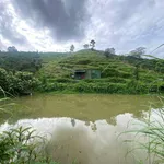 Bán đất 8 hectare Bảo Lâm Lâm Đồng 900 triệu - Ảnh thu nhỏ 5