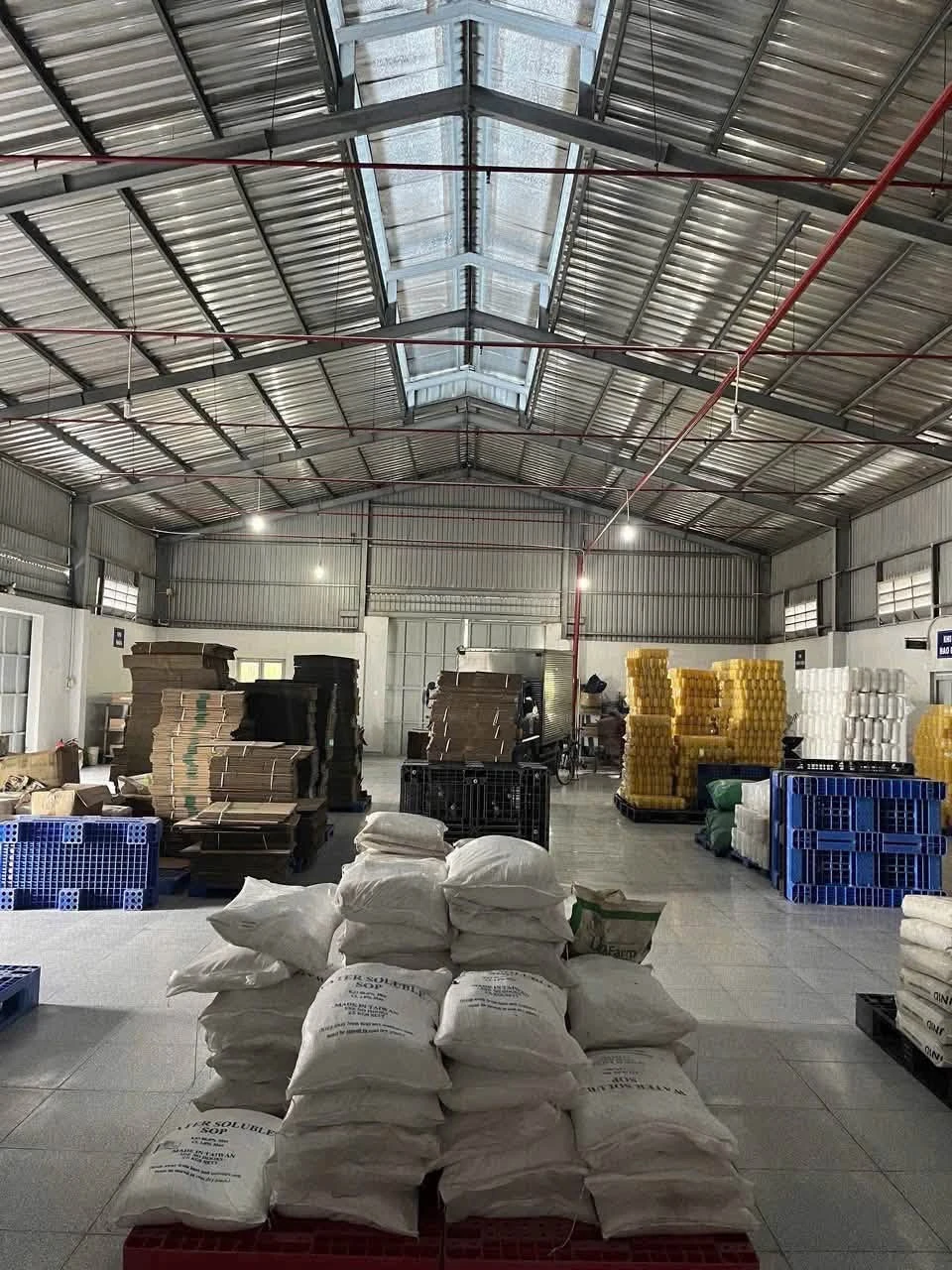 Cho thuê nhà xưởng Chánh Phú Hòa, Bến Cát, Bình Dương 10.000m2 - Ảnh 1