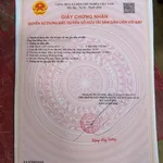 Bán đất Phú Lợi 144m² gần Hiệp Thành 3, Bình Chánh - Ảnh thu nhỏ 3