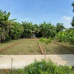 Bán đất Cần Giờ Mỹ Lộc 112m2 750 triệu - Ảnh thu nhỏ 2