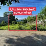 Bán đất Định Hoà, Thủ Dầu Một, 90m², 1 tỷ 950 triệu - Ảnh thu nhỏ 3