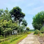 Bán đất Chơn Thành 1000m² giá 590 triệu - Ảnh thu nhỏ 1