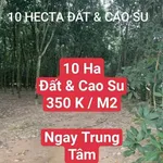 Bán đất 10 ha cây cao su Bắc Tân Uyên, giá 350k/m2 - Ảnh thu nhỏ 1