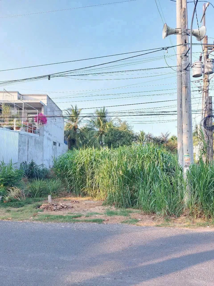 Bán nền mặt tiền 159m² Nhơn Thạnh Bến Tre - Ảnh thu nhỏ 3
