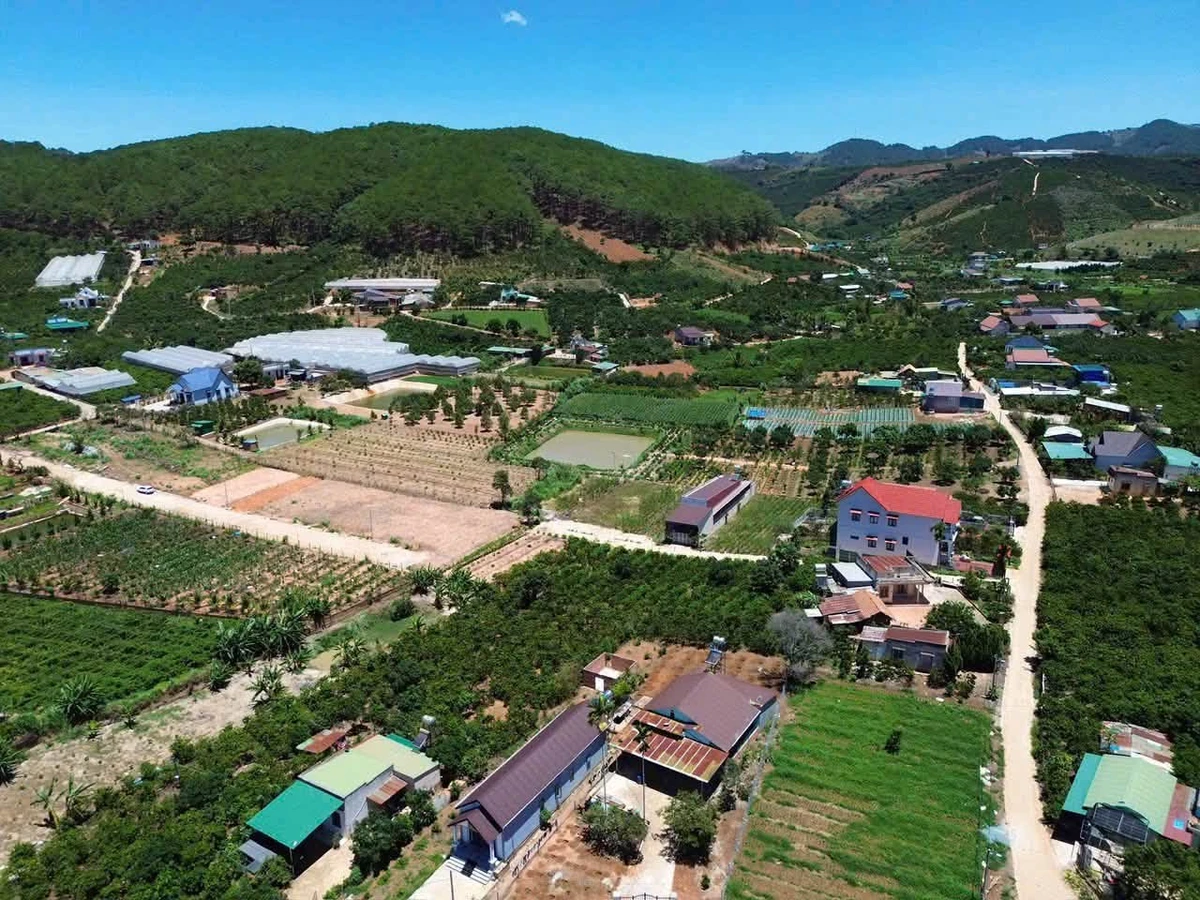 Bán đất Mê Linh giáp Đà Lạt 175m² 899 triệu - Ảnh thu nhỏ 2