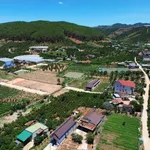 Bán đất Mê Linh giáp Đà Lạt 175m² 899 triệu - Ảnh thu nhỏ 2