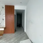 Bán nhà 1 lầu 1 trệt 75m² Tân Biên Bình Chánh 2,8 tỷ - Ảnh thu nhỏ 3