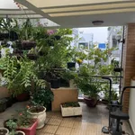 Bán nhà 76m² 3PN Tân Bình Lạc Long Quân 11,5 tỷ - Ảnh thu nhỏ 5