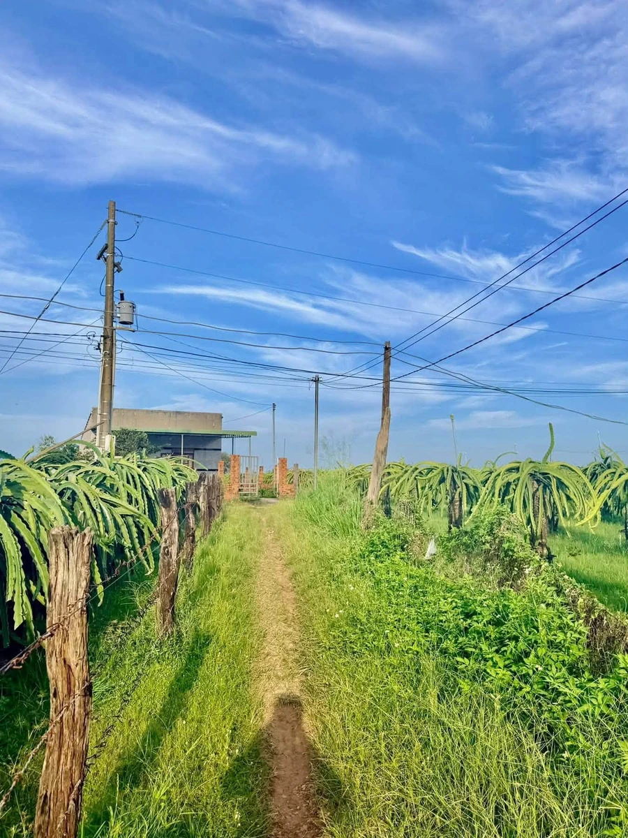 Bán 400m² đất quy hoạch thổ cư km 28 Hàm Thuận Nam - Ảnh thu nhỏ 3