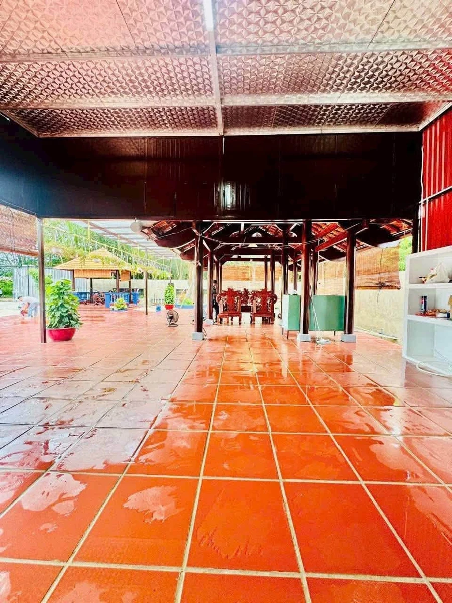 Bán nhà vườn 1.800m² An Thái, Phú Giáo, Bình Dương giá 3,5 tỷ - Ảnh thu nhỏ 2