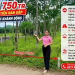 Bán đất Khánh Đông 1432m² chỉ 750 triệu - Ảnh thu nhỏ 1