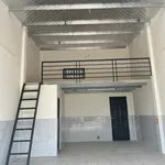 Bán mặt bằng lô góc 490m² Tân Thạnh Tây Củ Chi - Ảnh thu nhỏ 3