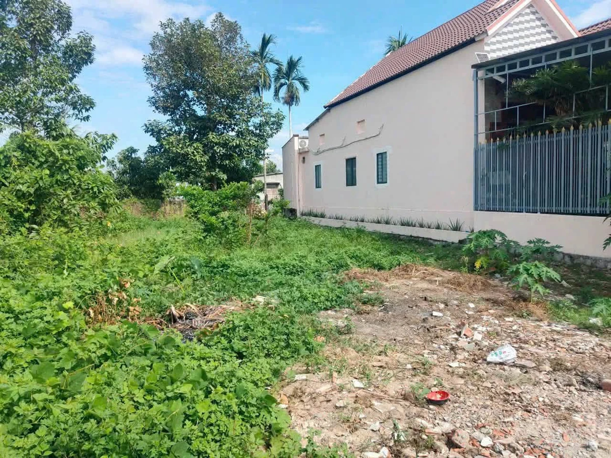 Bán lô đất 295m² ngang 12m Diên Hòa 1 tỷ 290 triệu - Ảnh thu nhỏ 3