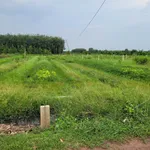 5x25 full thổ. Gần Nông trường Cao su Cầu Khởi. 195tr hết đất - Ảnh thu nhỏ 4