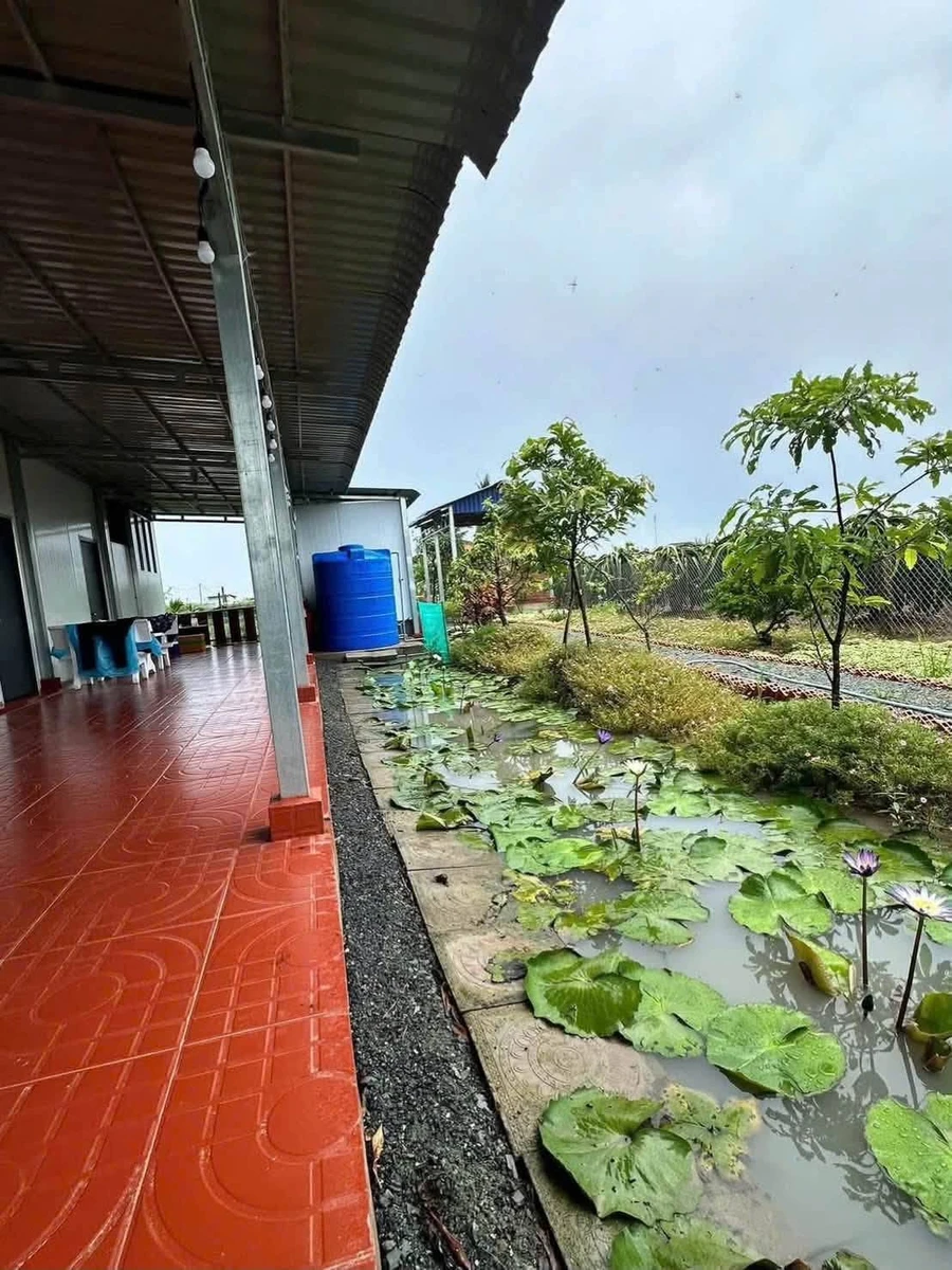 Bán nhà vườn 2PN, 952m² Hoà Phú, Châu Thành, Long An - 1 tỷ 350 - Ảnh thu nhỏ 2