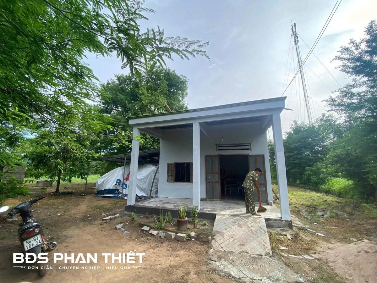Bán đất sào Thuận Hòa 2542 m² với nhà cấp 4, Lâm Đồng - Ảnh thu nhỏ 2