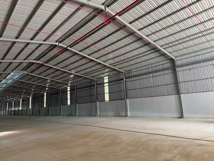 Cho thuê xưởng 2.600m² Chánh Phú, 145 triệu/tháng - Ảnh 1
