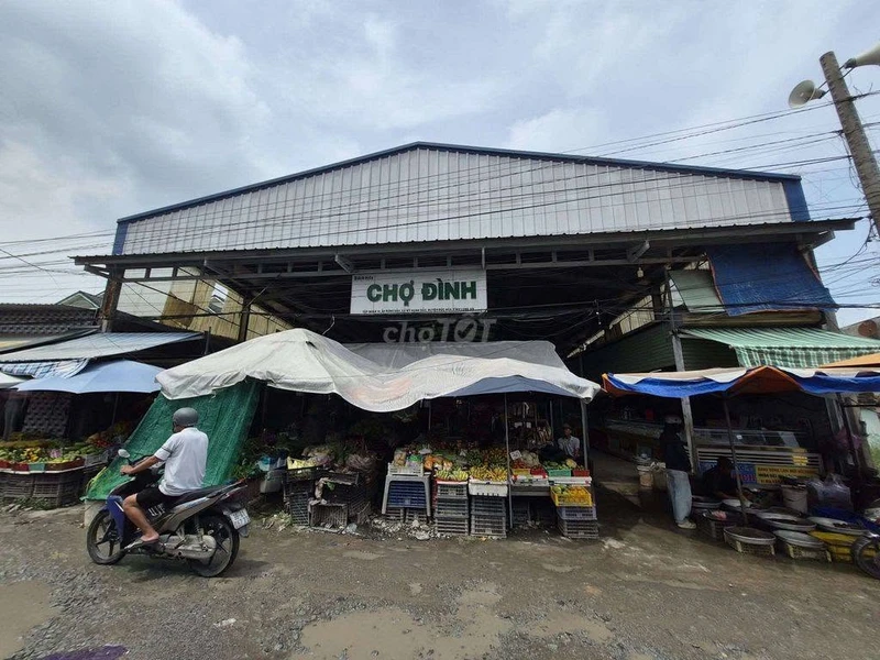 Cho thuê chợ Đình 711,8 m² tại Tây Ninh, 25 triệu/tháng