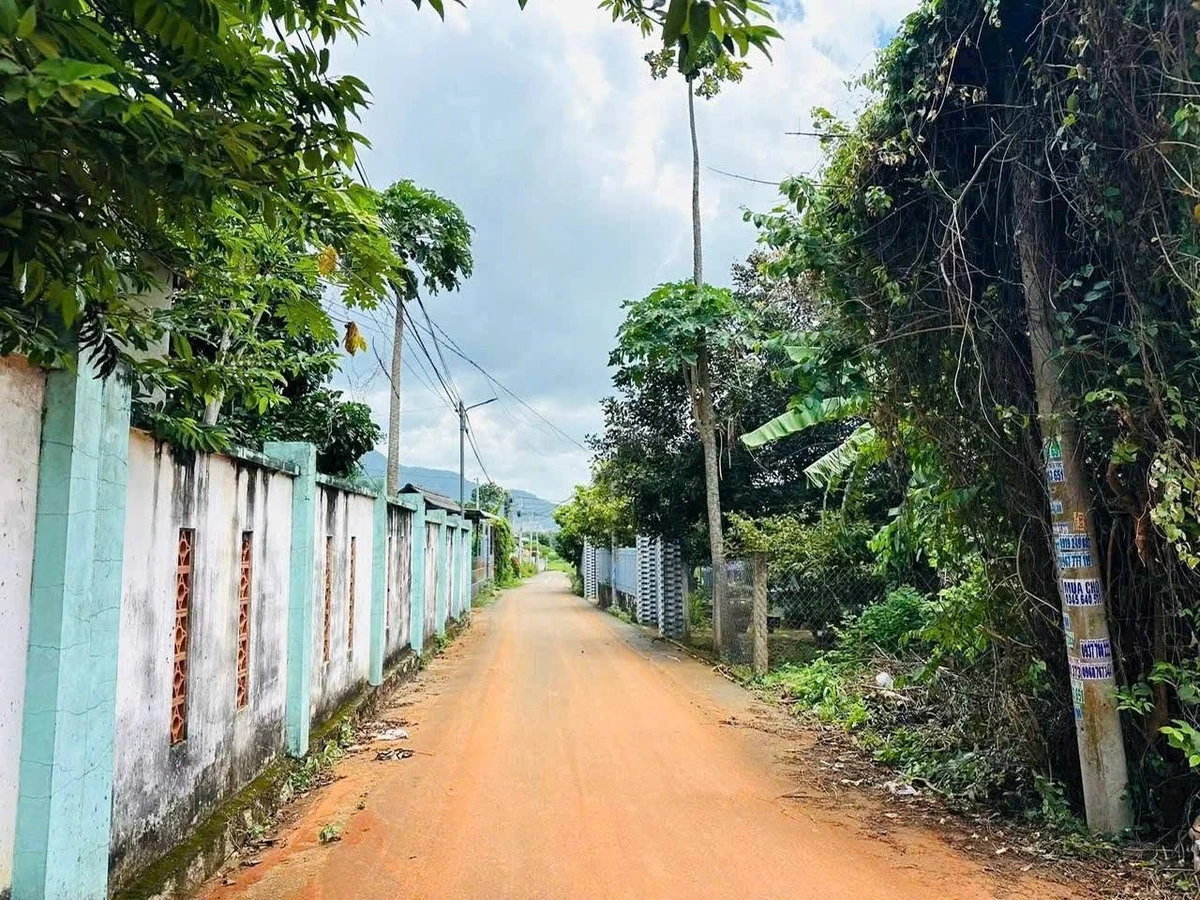 Bán gấp đất vườn 535m² 2 mặt tiền tại Hòa Long, Phường Tam Long, giá 3,2 tỷ - Ảnh thu nhỏ 3