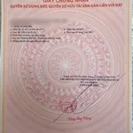 Bán đất KDC Phúc Đạt 64m² chỉ 2,8 tỷ - Ảnh thu nhỏ 3