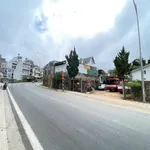 Bán đất mặt tiền Tô Hiến Thành Đà Lạt 298m2 17 tỷ - Ảnh thu nhỏ 2