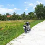 Bán đất thổ cư 145m2 view kênh Châu Thành Long An - Ảnh thu nhỏ 3
