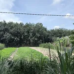Bán đất Bình Mỹ 190m² 1,3 tỷ - Ảnh thu nhỏ 1