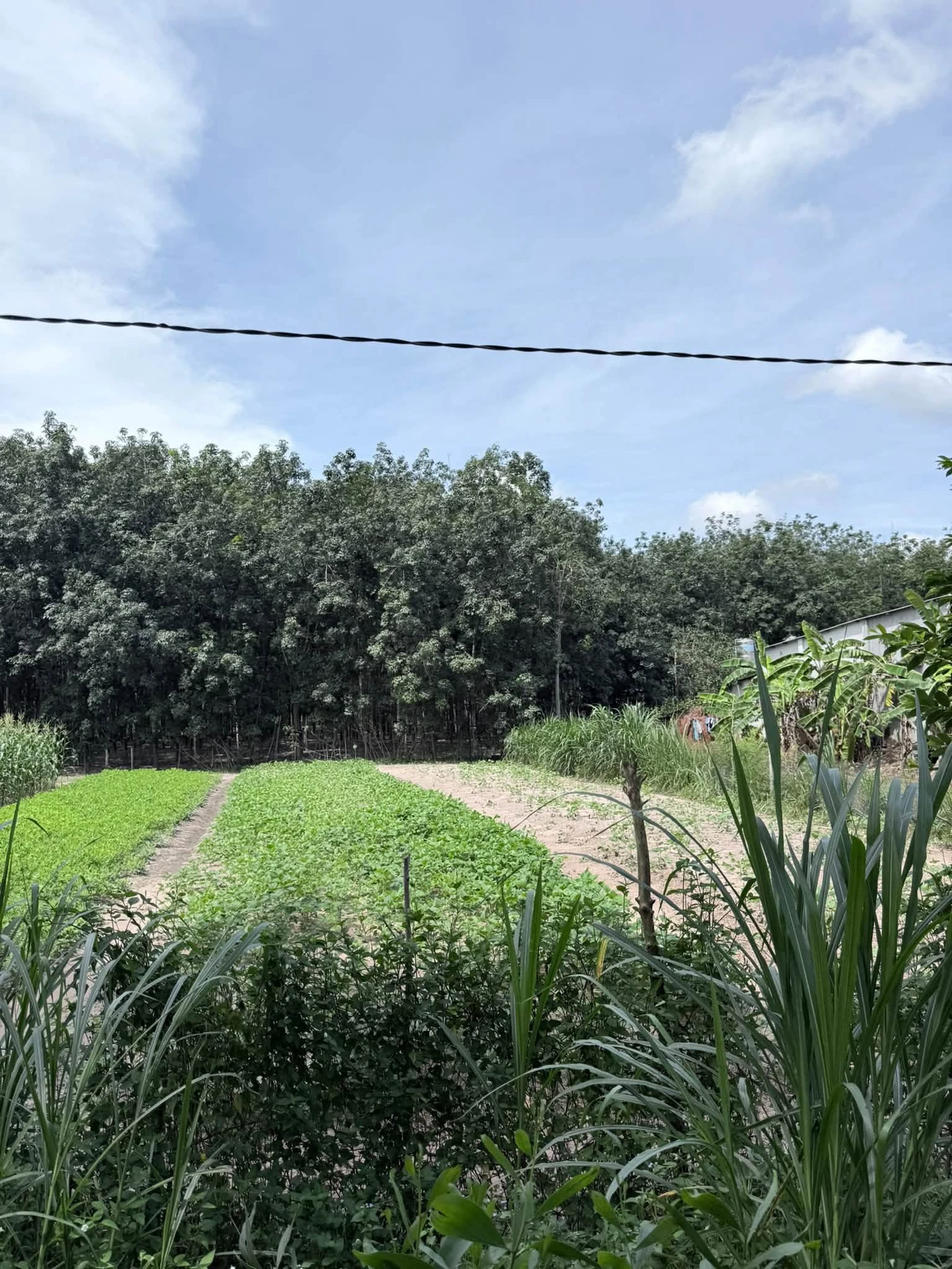 Bán đất Bình Mỹ 190m² 1,3 tỷ - Ảnh 1