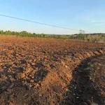 Bán đất sỏi đỏ 8,6 sào ở Eak Kiết, Đắk Lắk - Ảnh thu nhỏ 2