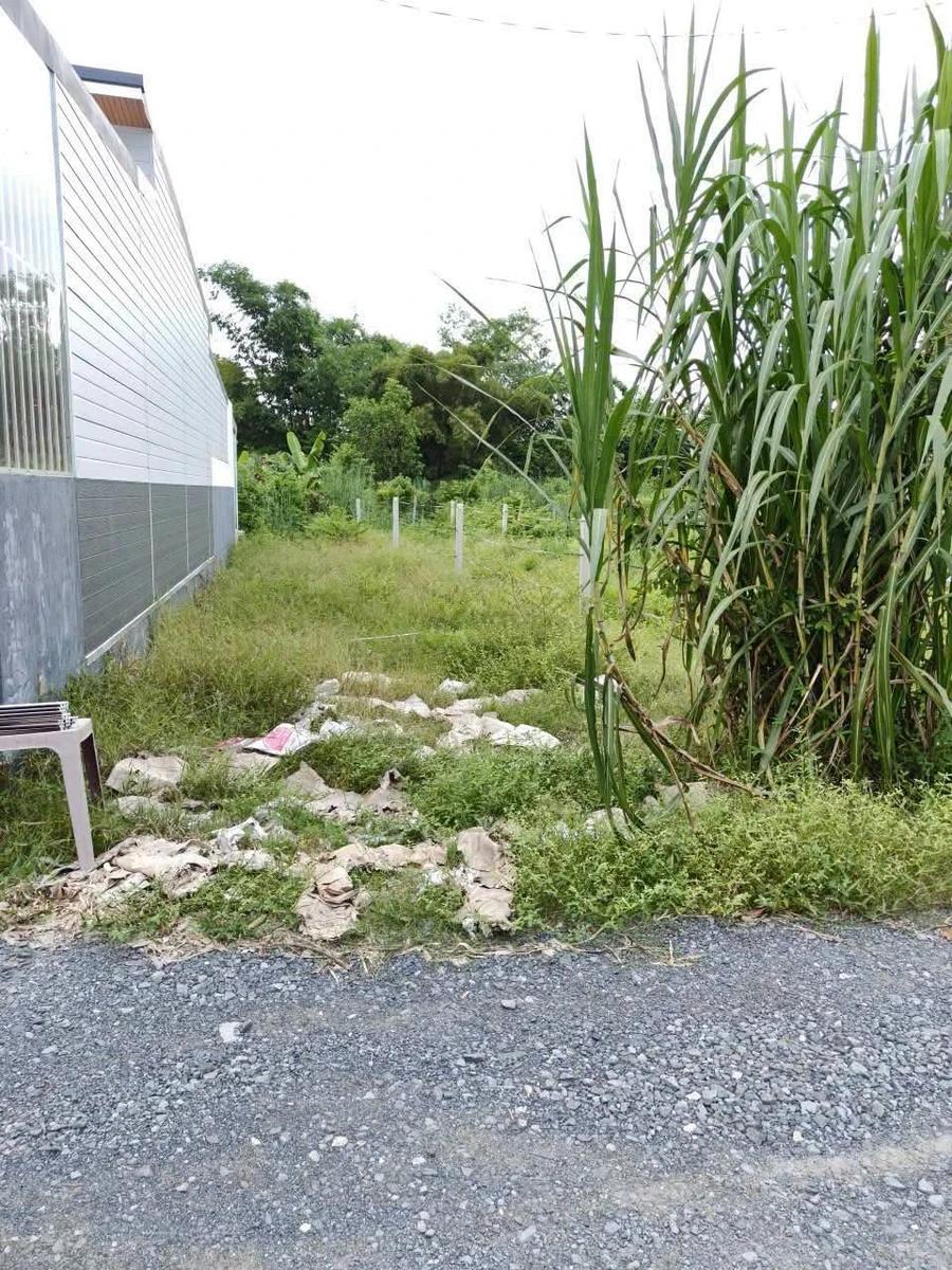 Bán đất nền 5x20m tại Phường Long Hòa, Tây Ninh, 350 triệu - Ảnh thu nhỏ 2
