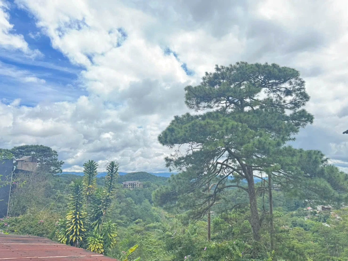 Bán đất 45m² view rừng thông Đà Lạt tặng nhà - Ảnh thu nhỏ 2