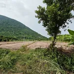 Bán đất trồng cây 600m² Tây Ninh, Phường Bình Minh - Ảnh thu nhỏ 3