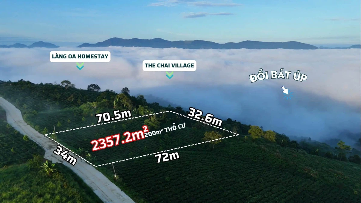 Bán đất Bảo Lâm 2.357m² view 360°, giá 4,3 tỷ - Ảnh thu nhỏ 3