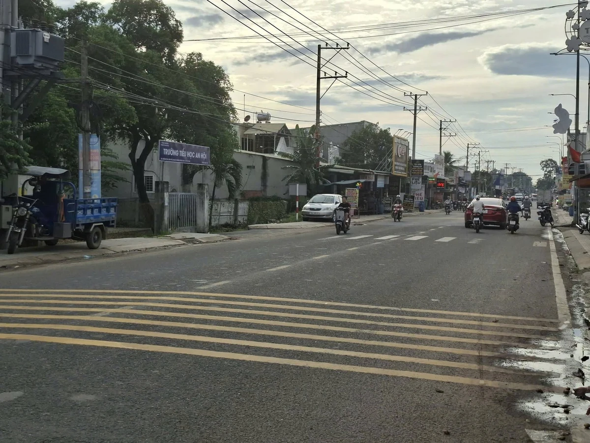 Bán đất 799m2 mặt tiền 15m đường DT787, Tây Ninh, 12.2 tỷ - Ảnh thu nhỏ 4