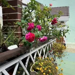 Bán nhà Nguyễn Trung Trực, Đà Lạt, 91m², 3PN, 5,5 tỷ - Ảnh thu nhỏ 1