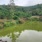 Bán đất Tuy Đức Lâm Đồng 1500m2 giá 2 tỷ 650 triệu - Ảnh thu nhỏ 1