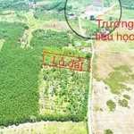 Bán đất Khánh Đông 1432m² chỉ 750 triệu - Ảnh thu nhỏ 3