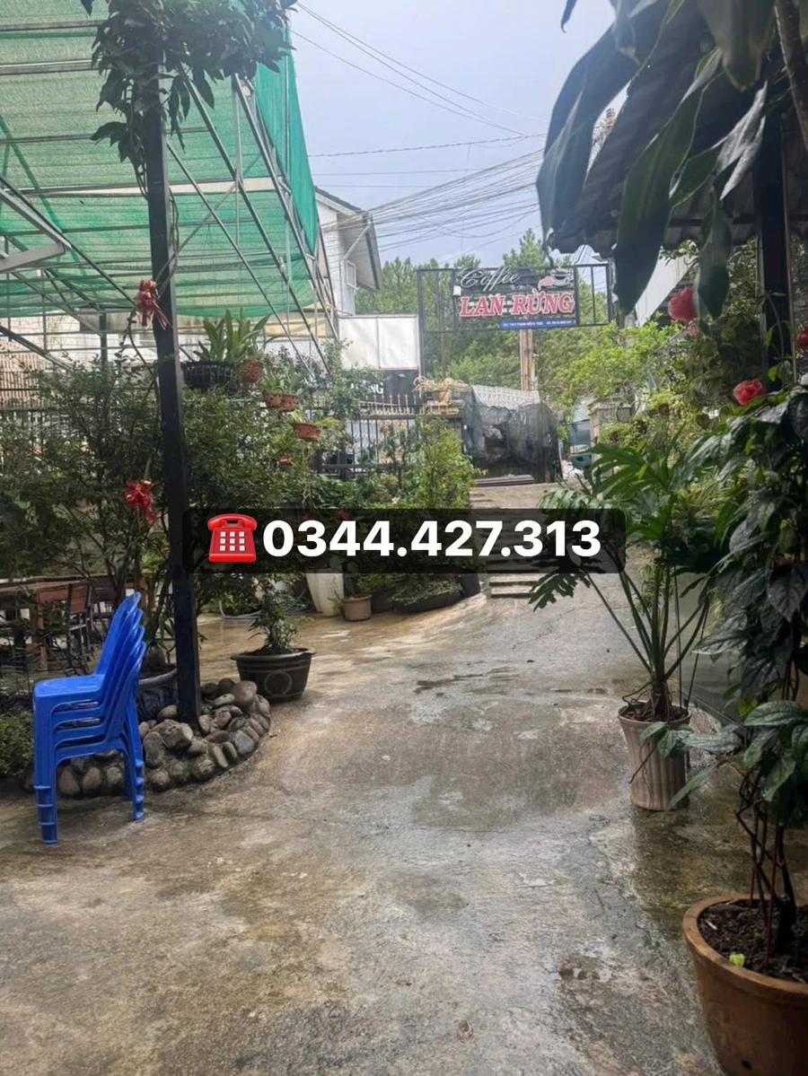 Bán đất biệt thự 300 m² mặt tiền Phạm Hồng Thái, Đà Lạt - Ảnh thu nhỏ 2