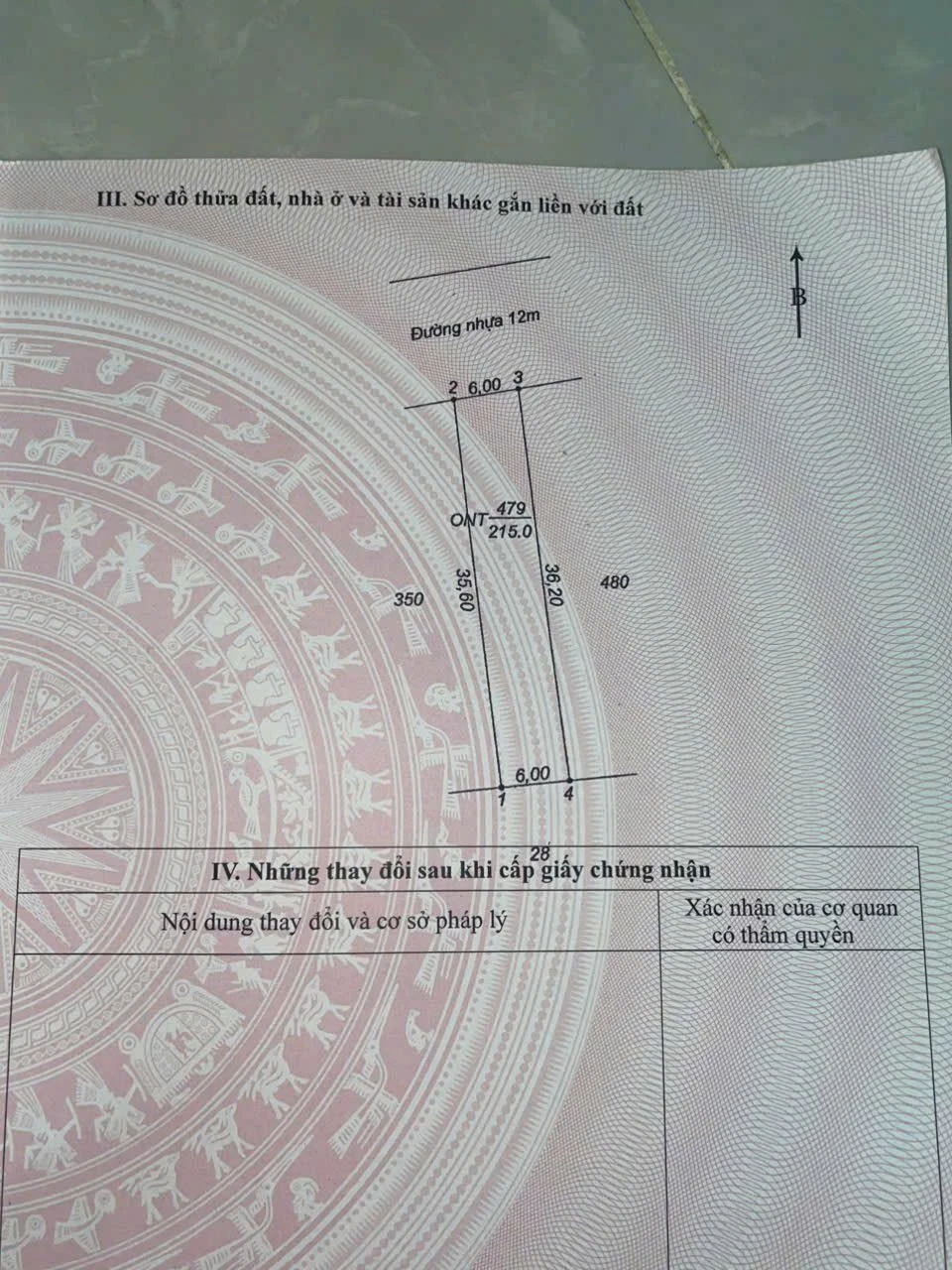 Bán đất Tân Trung, Tây Ninh 216m² 900 triệu - Ảnh 1