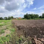 Bán 3.625m² đất vườn có 150m² thổ cư, đường đá xanh xe hơi, Bình Đức, Tây Ninh - Ảnh thu nhỏ 1