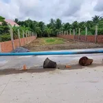 Bán nền biệt thự 542m² Xã Nhơn Thạnh Bến Tre 1 tỷ 900 triệu - Ảnh thu nhỏ 2