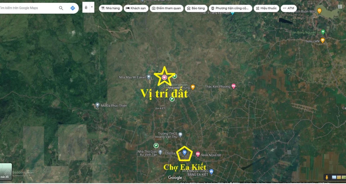8 sào gỗ tếch tại huyện Cư Mgar, Đắk Lắk - Ảnh thu nhỏ 5