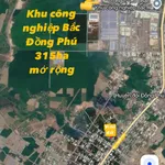 Bán đất nền thổ cư 300m² Phường Đồng Phú 900 triệu - Ảnh thu nhỏ 1