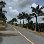 Bán đất mặt tiền Nguyễn Hoàng Anh Tân Trụ 125m2, sổ hồng - Ảnh thu nhỏ 2