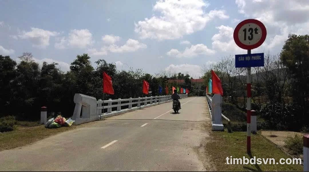 Bán đất 700m2 mặt tiền Hội Phước - Hòa Phú, Nhà Bè - Ảnh thu nhỏ 2