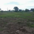 Đất đường nhựa DH3 Gò Công Đông, Tiền Giang, 1.315m2 200m2 thổ cư, tiền làm nhà vườn, giá 1,3 tỷ TL - Ảnh thu nhỏ 16