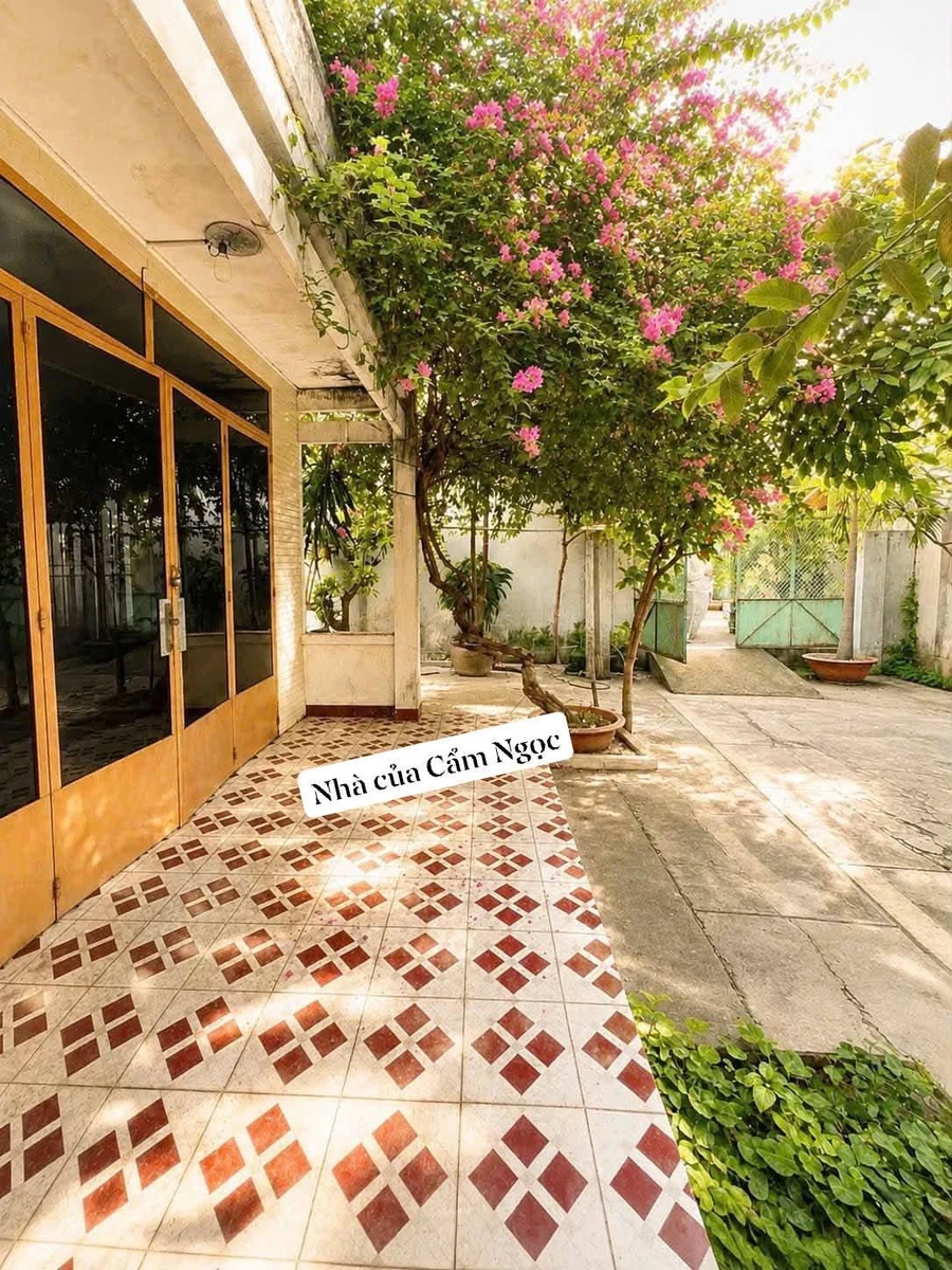 Bán đất 220m2 ngang 10.2m có nhà cấp 4 tại Gò Vấp giá 15,5 tỷ - Ảnh thu nhỏ 3