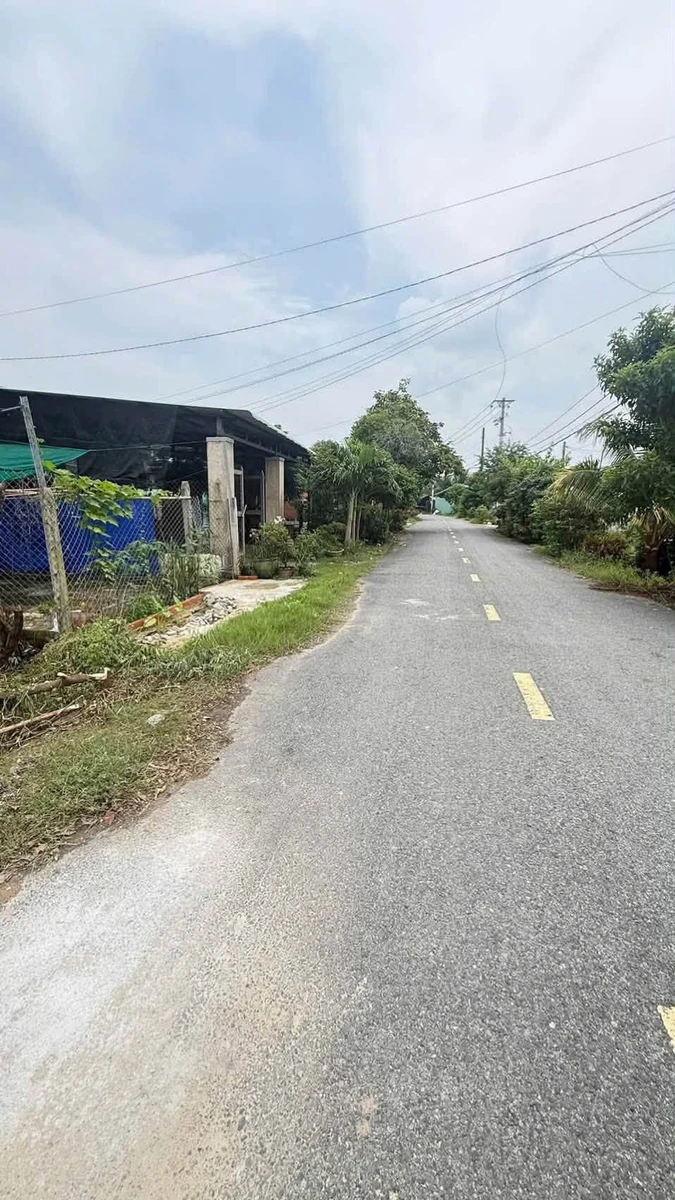 Bán đất Củ Chi Trung Lập Thượng 160m2 giá 980 triệu - Ảnh thu nhỏ 4